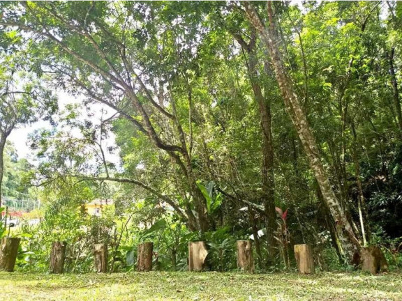 Imagem Imóvel com 5 Quartos à Venda, 480 m² em Mato Dentro - Mairiporã Imagem Imóvel com 5 Quartos à Venda, 480 m² em Mato Dentro - Mairiporã