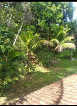 Imagem Fazenda à Venda, 15.000 m² em Bonsucesso - Saquarema