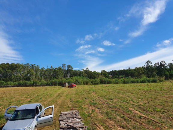 Imagem Chácara à Venda, 100 m² em Sanga Funda - Portão Imagem Chácara à Venda, 100 m² em Sanga Funda - Portão