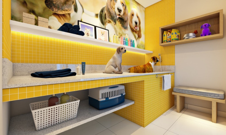 Imagem Imóvel com 2 Quartos à Venda, 65 m² em Campestre - Santo André Imagem Imóvel com 2 Quartos à Venda, 65 m² em Campestre - Santo André