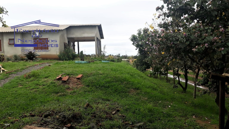 Imagem Imóvel com 3 Quartos à Venda, 120 m² em Cerro Chato - Sentinela Do Sul Imagem Imóvel com 3 Quartos à Venda, 120 m² em Cerro Chato - Sentinela Do Sul