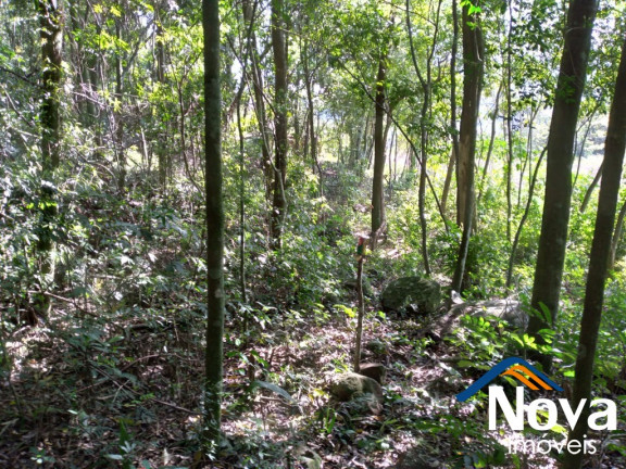 Imagem Imóvel à Venda, 10.000 m² em Vila Rica - Presidente Lucena Imagem Imóvel à Venda, 10.000 m² em Vila Rica - Presidente Lucena