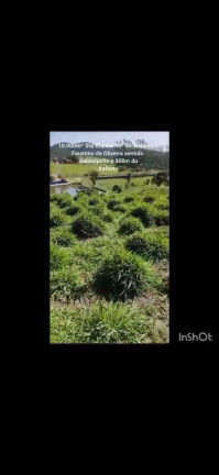 Imagem Terreno à Venda, 10.000 m² em Centro - Santa Branca