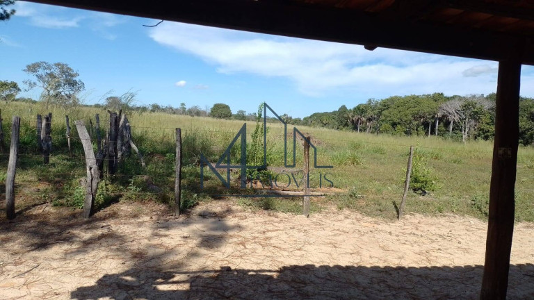 Imagem Fazenda à Venda, 29 m² em Almas - Arraias Imagem Fazenda à Venda, 29 m² em Almas - Arraias