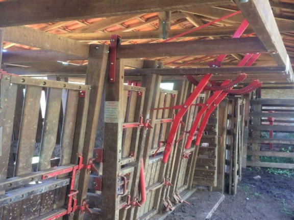 Imagem Imóvel com 3 Quartos à Venda, 448.000 m² em Roseta - Cambuí