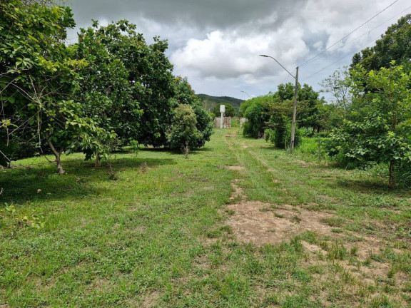 Imagem Chácara à Venda, 10.288 m² em Zona Rural - Heitoraí Imagem Chácara à Venda, 10.288 m² em Zona Rural - Heitoraí