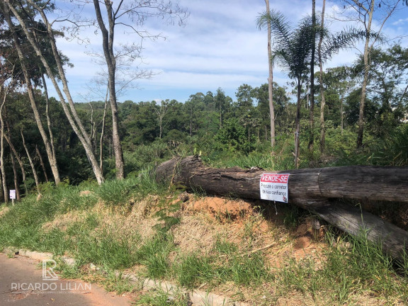 Imagem Terreno à Venda, 378 m² em Centro - Bom Jesus Dos Perdões