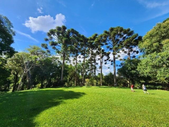 Imagem Imóvel com 3 Quartos à Venda, 51.000 m² em Campo Largo Da Roseira - São José Dos Pinhais Imagem Imóvel com 3 Quartos à Venda, 51.000 m² em Campo Largo Da Roseira - São José Dos Pinhais