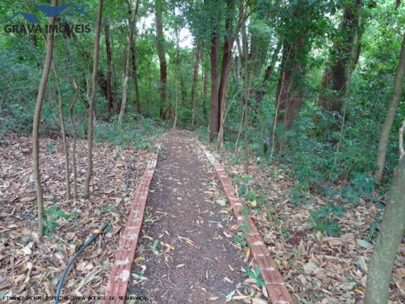 Imagem Chácara com 2 Quartos à Venda, 14.000 m² em Estrada Santa Fe - Marialva Imagem Chácara com 2 Quartos à Venda, 14.000 m² em Estrada Santa Fe - Marialva