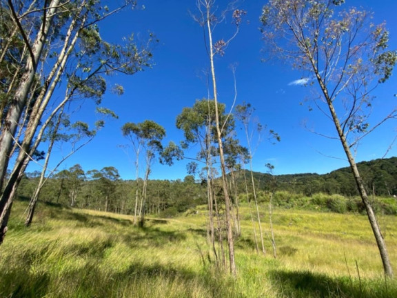 Imagem Terreno à Venda, 320.000 m² em Terra Preta (terra Preta) - Mairiporã Imagem Terreno à Venda, 320.000 m² em Terra Preta (terra Preta) - Mairiporã