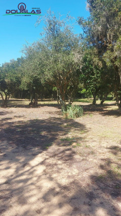 Imagem Chácara com 2 Quartos à Venda, 11.000 m² em Viamão