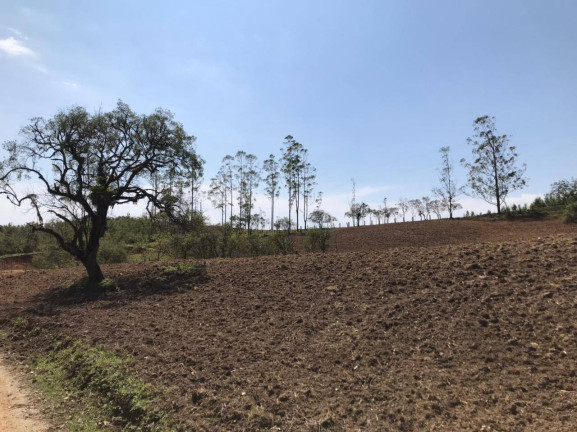 Imagem Terreno à Venda, em Pilar Do Sul Imagem Terreno à Venda, em Pilar Do Sul
