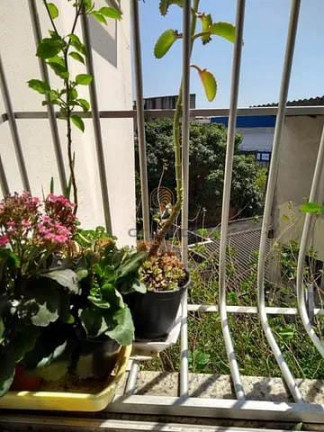 Imagem Apartamento com 2 Quartos à Venda, 53 m² em Itapuã - Vila Velha Imagem Apartamento com 2 Quartos à Venda, 53 m² em Itapuã - Vila Velha