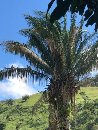 Imagem Fazenda à Venda, 6.050.000 m² em Zona Rural - Cocalzinho De Goiás Imagem Fazenda à Venda, 6.050.000 m² em Zona Rural - Cocalzinho De Goiás