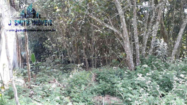 Imagem Terreno em Condomínio à Venda, 638 m² em Gramado - Cotia Imagem Terreno em Condomínio à Venda, 638 m² em Gramado - Cotia
