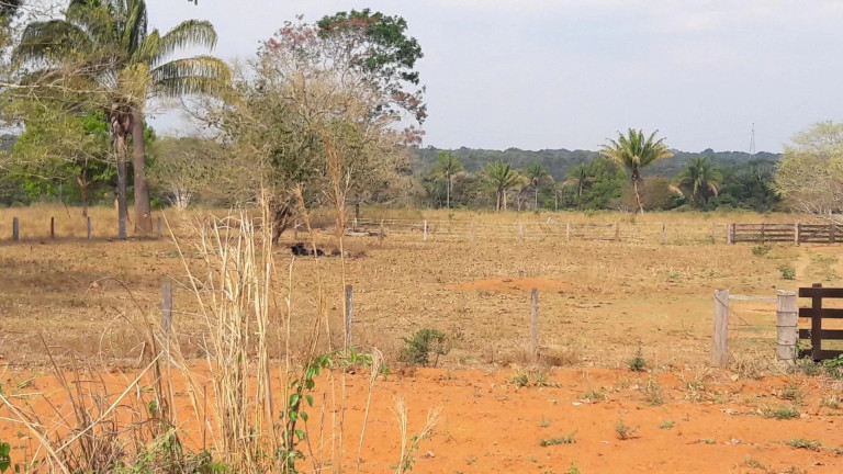 Imagem Fazenda à Venda, 242 m² em Zona Rural - Itaúba Imagem Fazenda à Venda, 242 m² em Zona Rural - Itaúba
