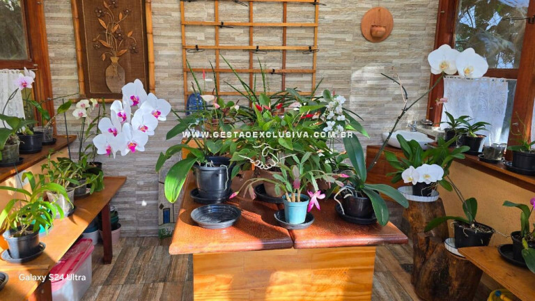 Imagem Chácara com 4 Quartos à Venda, 5.492 m² em Condomínio Itaembu - Itatiba Imagem Chácara com 4 Quartos à Venda, 5.492 m² em Condomínio Itaembu - Itatiba
