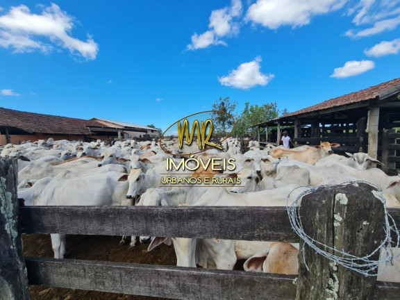 Imagem Imóvel à Venda, 52 m² em Rural - Araruama Imagem Imóvel à Venda, 52 m² em Rural - Araruama