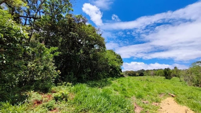 Imagem Terreno à Venda, 2.600 m² em Fazenda Primavera - Atibaia Imagem Terreno à Venda, 2.600 m² em Fazenda Primavera - Atibaia