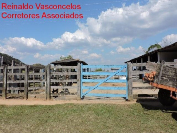 Imagem Imóvel com 3 Quartos à Venda, 3.872.000 m² em Passa Vinte - Cruzeiro Imagem Imóvel com 3 Quartos à Venda, 3.872.000 m² em Passa Vinte - Cruzeiro