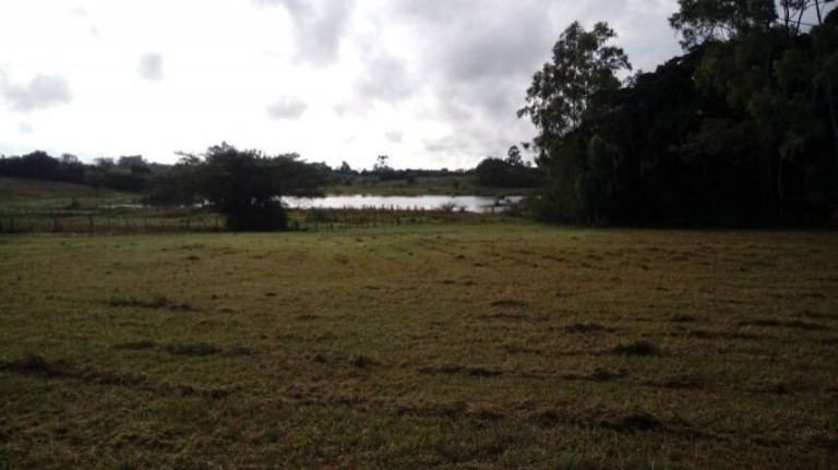 Imagem Chácara à Venda, 5.536 m² em águas Claras - Viamão