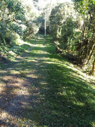 Imagem Terreno à Venda, 1.300 m² em Descansopolis - Campos Do Jordão