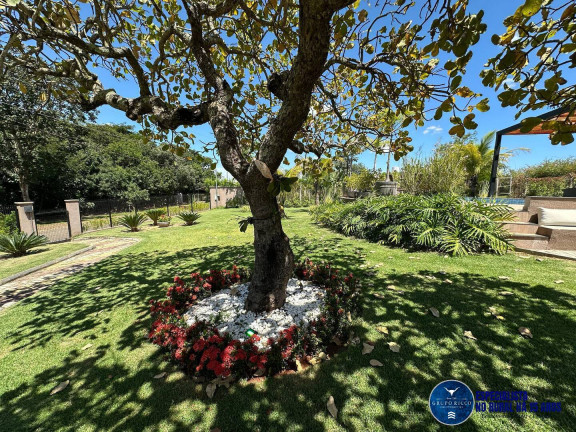 Imagem Chácara com 4 Quartos à Venda, 1 m² em Zona Rural - Bela Vista De Goiás Imagem Chácara com 4 Quartos à Venda, 1 m² em Zona Rural - Bela Vista De Goiás