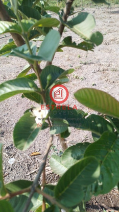 Imagem Imóvel à Venda, 2.000 m² em Chácara Itapoã - Jacareí Imagem Imóvel à Venda, 2.000 m² em Chácara Itapoã - Jacareí