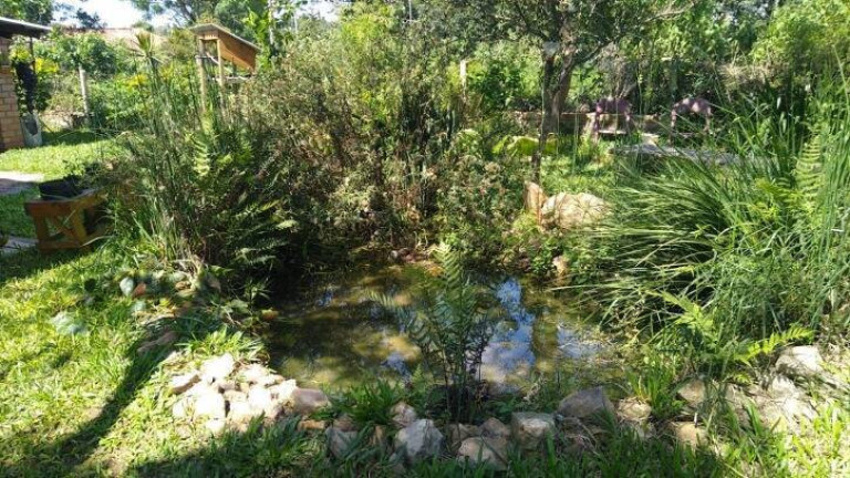Imagem Chácara com 3 Quartos à Venda, 940 m² em águas Claras - Viamão