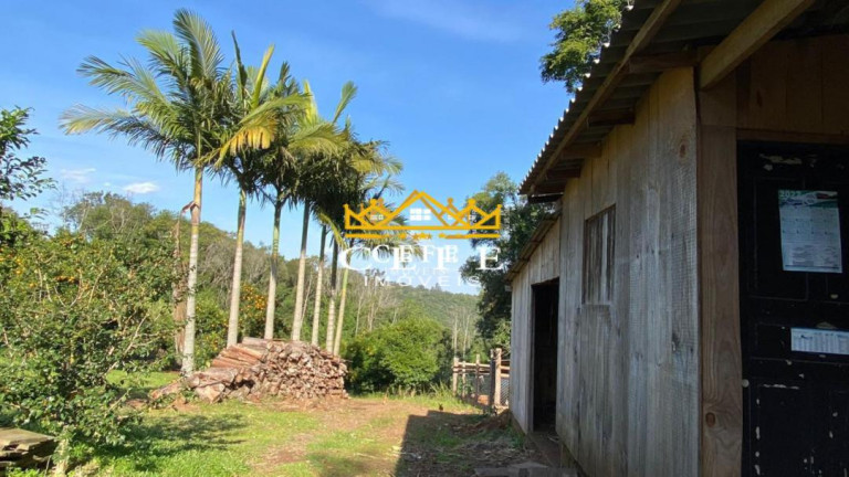 Imagem Sala Comercial à Venda, 20 m² em Zona Rural - Três Coroas Imagem Sala Comercial à Venda, 20 m² em Zona Rural - Três Coroas
