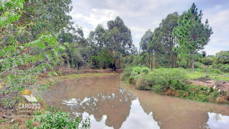 Imagem Fazenda à Venda, 20.000 m² em águas Claras - Viamão Imagem Fazenda à Venda, 20.000 m² em águas Claras - Viamão