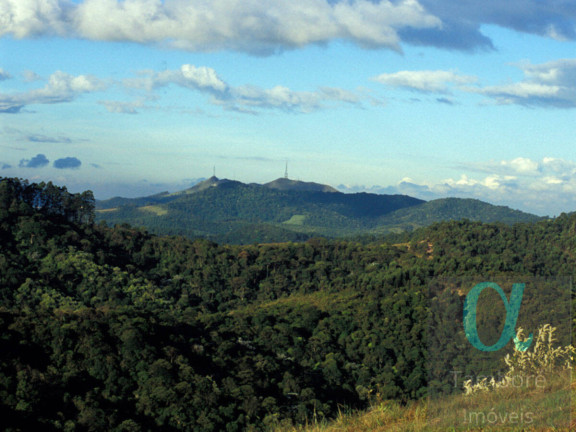 Imagem Terreno à Venda, 565 m² em Alphaville - Santana De Parnaíba Imagem Terreno à Venda, 565 m² em Alphaville - Santana De Parnaíba