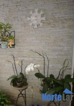 Imagem Sobrado com 4 Quartos à Venda, 180 m² em água Fria - São Paulo Imagem Sobrado com 4 Quartos à Venda, 180 m² em água Fria - São Paulo