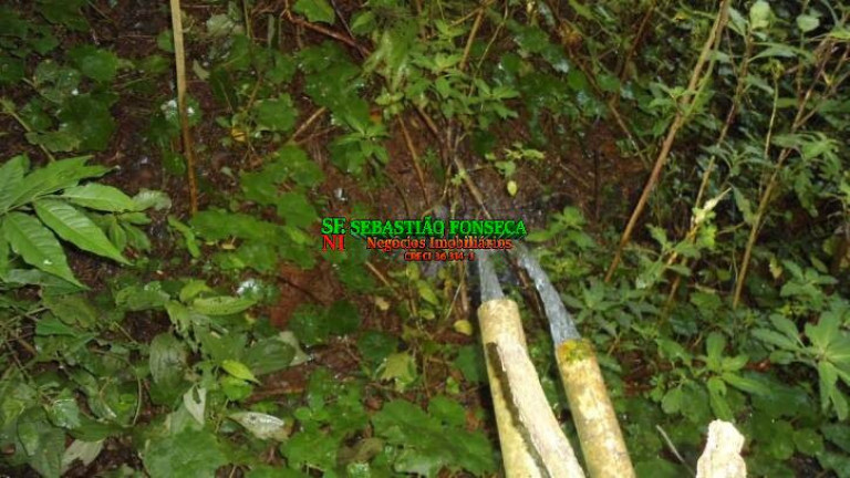 Imagem Chácara à Venda, 72.600 m² em São Francisco Xavier - São José Dos Campos Imagem Chácara à Venda, 72.600 m² em São Francisco Xavier - São José Dos Campos