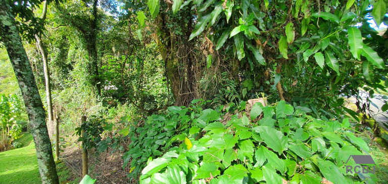 Imagem Terreno à Venda, 1.000 m² em Retiro Do Chalé - Brumadinho Imagem Terreno à Venda, 1.000 m² em Retiro Do Chalé - Brumadinho