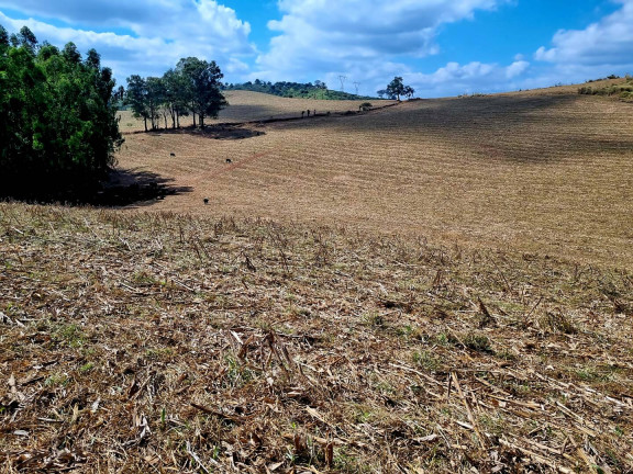 Imagem Fazenda à Venda, 92 m² em Poços De Caldas Imagem Fazenda à Venda, 92 m² em Poços De Caldas