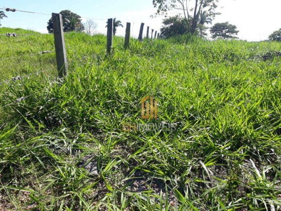 Imagem Chácara à Venda, 338.800 m² em Area Rural - Novo Brasil Imagem Chácara à Venda, 338.800 m² em Area Rural - Novo Brasil