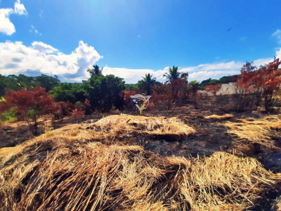 Imagem Terreno à Venda, 3.000 m² em Mirante - Santa Cruz Cabrália