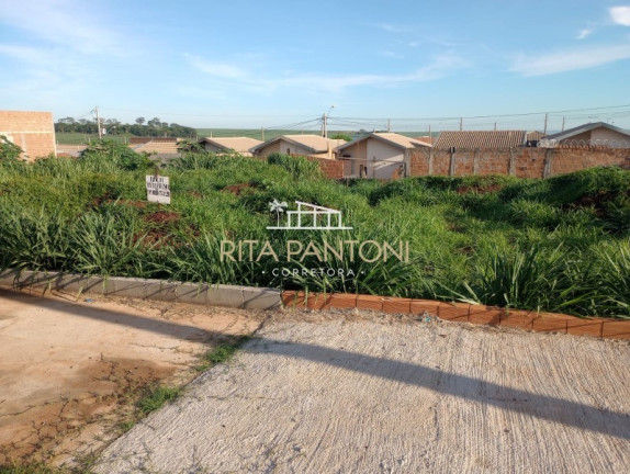 Imagem Terreno à Venda, 207 m² em Reserva Macaúba - Ribeirão Preto Imagem Terreno à Venda, 207 m² em Reserva Macaúba - Ribeirão Preto