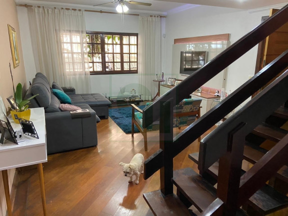 Imagem Casa com 3 Quartos à Venda, 127 m² em Parque Ipê - São Paulo Imagem Casa com 3 Quartos à Venda, 127 m² em Parque Ipê - São Paulo