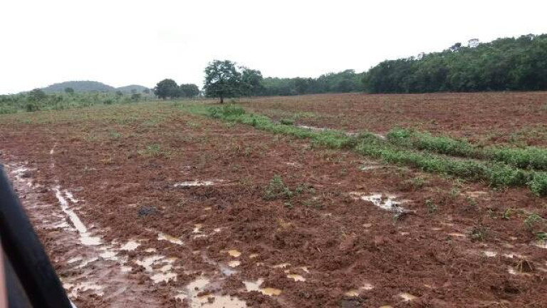 Imagem Fazenda à Venda, 787 m² em Nova Xavantina Imagem Fazenda à Venda, 787 m² em Nova Xavantina
