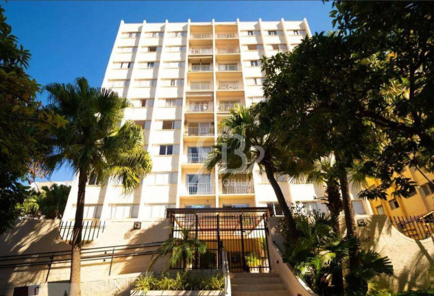 Imagem Apartamento com 3 Quartos à Venda, 100 m² em Cambuí - Campinas Imagem Apartamento com 3 Quartos à Venda, 100 m² em Cambuí - Campinas