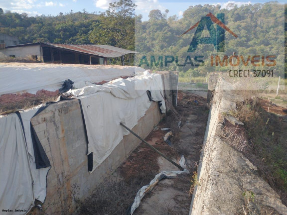 Imagem Fazenda à Venda, 60 m² em Azurita