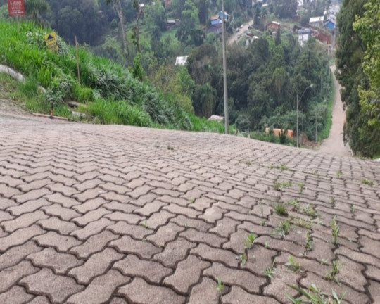 Imagem Imóvel à Venda, 455 m² em Piá - Nova Petrópolis Imagem Imóvel à Venda, 455 m² em Piá - Nova Petrópolis