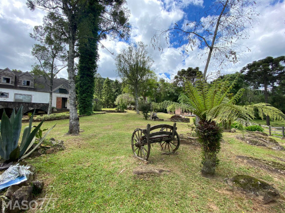 Imagem Chácara com 3 Quartos à Venda, 15.000 m² em Linha Araripe A - Gramado Imagem Chácara com 3 Quartos à Venda, 15.000 m² em Linha Araripe A - Gramado