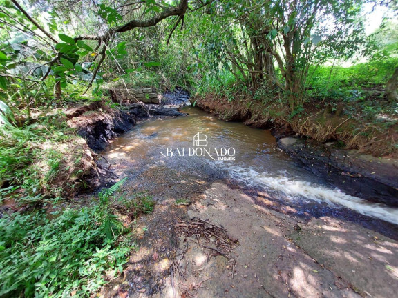 Imagem Fazenda à Venda, 15.000 m² em Toledo - Toledo Imagem Fazenda à Venda, 15.000 m² em Toledo - Toledo