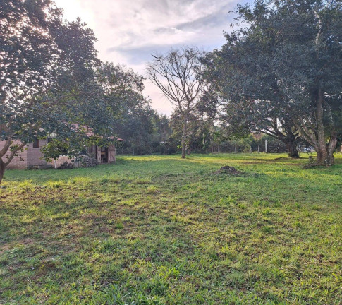 Imagem Terreno à Venda, 3.200 m² em águas Claras - Viamão Imagem Terreno à Venda, 3.200 m² em águas Claras - Viamão