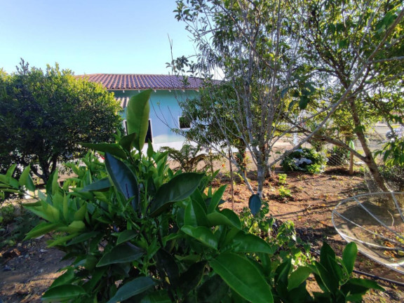 Imagem Casa com 3 Quartos à Venda, 293 m² em Trigolândia - Piên Imagem Casa com 3 Quartos à Venda, 293 m² em Trigolândia - Piên