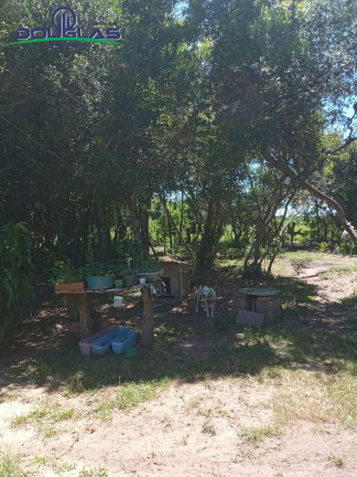Imagem Casa com 2 Quartos à Venda, 750 m² em Viamão