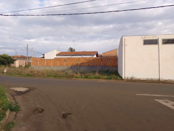 Imagem Terreno à Venda, 332 m² em Jardim Veneza - Pirassununga Imagem Terreno à Venda, 332 m² em Jardim Veneza - Pirassununga